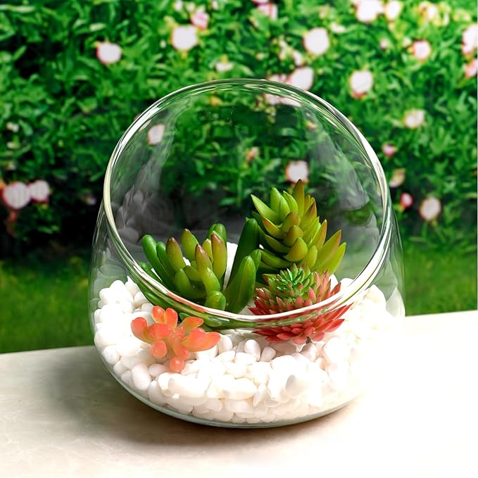Yardwe 1PC Glass Terrarium Bowl Vase Slant Cut Bubble Bowl Glass Plant Terrarium Container Micro Landscape Planter for Succulent Plant