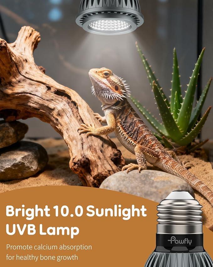 Pawfly UVB Light for Reptiles, 3 W 10.0 UVB Bulb, Desert Reptile UVA UVB Lamp for Calcium & Vitamin D3 Synthesis, High Intensity LED Lamp for Bearded Dragon, Tortoise & Lizard