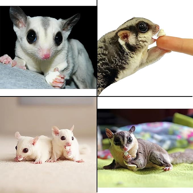 Yogu Drops (14 oz.) - All Natural Healthy Yogurt Treat - for Sugar Gliders, Prairie Dogs, Monkeys, Squirrels, Guinea Pigs, Rabbits, Chinchillas, Rats, Marmosets, Degus & Other Small Pets