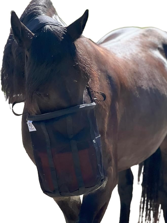 Reinforced Horse Mesh Feed Bag, Adjustable Strap, Padded Nose, Heavy Duty Horse Feed Bag, Reinforced Bottom Stitching, Holds 8qt Grain Bucket, no Mess, soak Feed in Bag, Horse Feed Bag