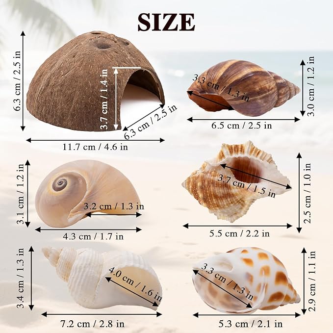 Hermit Crab Shells 1 Coconut Shell Hut 5 PCS Hermit Crab Seashells Accessories Decorations Enrichment Hut for House Hermit Crab Tank Hide Reptile Hideout