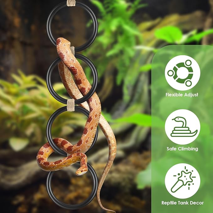 2PCS Snake Climbing Rings, Ball Python Enrichment Hoop Chain Toys, Adjustable Playground Reptiletank Cage Decor Accessories for Corn Snakes, Garter Snakes, Iguana, Lizards, Chameleons, Parrot