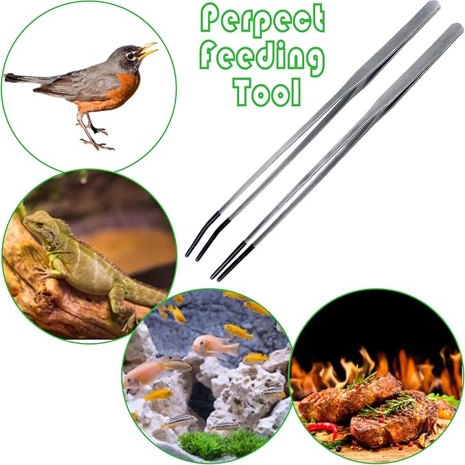 2Pcs Reptile Feeding Tong with Rubber Tip Aquarium Tweezers Stainless Steel Straight Curved Feeding Tong Long Handle Terrarium Feeder Tool for Tank Lizards Bearded Dragon Spider Snake (Silver, 15Inch)