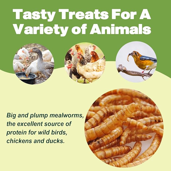 Dried Mealworms - 22 LBS- 100% Natural Non GMO High Protein - Bulk Mealworms for Wild Birds, Chicken Treats, Hamster, Gecko, Turtle, Lizard Food