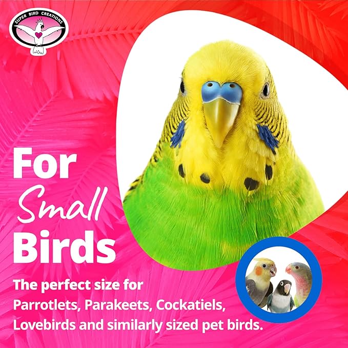 Super Bird Creations SB586 X-mas Star Bird Toy, Small Bird Size, 4.5" x 3"