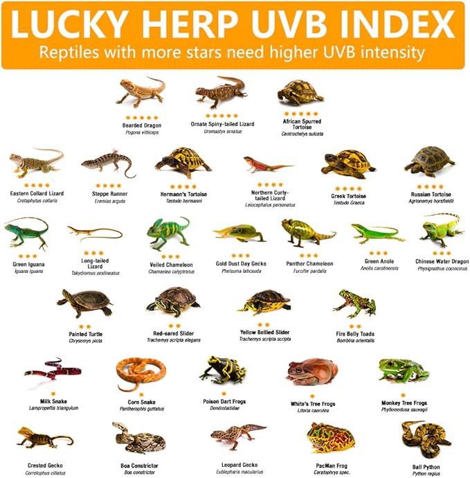 LUCKY HERP 15inch 14W T8 UVB 10.0 Reptile Light, UVA UVB Bulb, Fluorescent Lamp for Reptiles Amphibian
