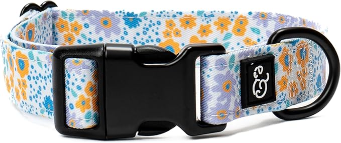 Lucy & Co. Among The Wildflowers Dog Collar - Durable Lightweight Designer Collar for Pets - Adjustable Metal Safety Buckle - Purple Floral - Small