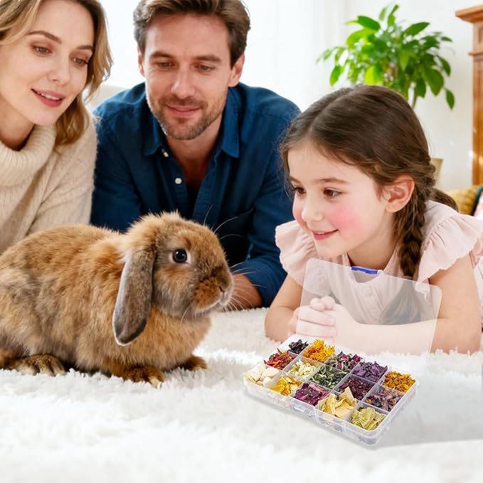 Bunny Treats, Treat Box with 15 Kind of Snacks for Rabbit, Hamster, Chinchilla, Guinea Pig and Other Small Pets, Chinchilla Treats, Guinea Pig Treat