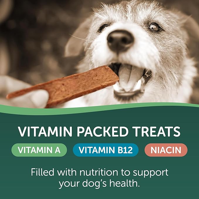 Healthfuls Salmon Fillet Dog Treats, 3.5oz