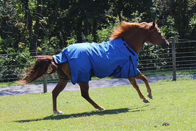 Derby Originals Nordic Tough 1200D Ripstop Waterproof Reflective Winter Horse Turnout Blanket 300g Heavy Weight, Chocolate Brown, 81"