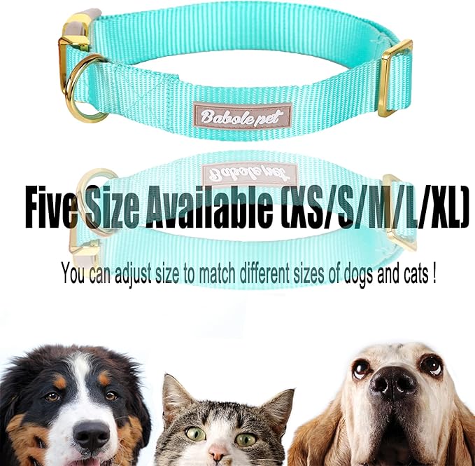 Nylon Dog Collar - Adjustable Lake Blue Soft Webbing Dog Collars for Small Medium Large Dogs Boy Girl Puppy Collar with Safety Metal Buckle XL