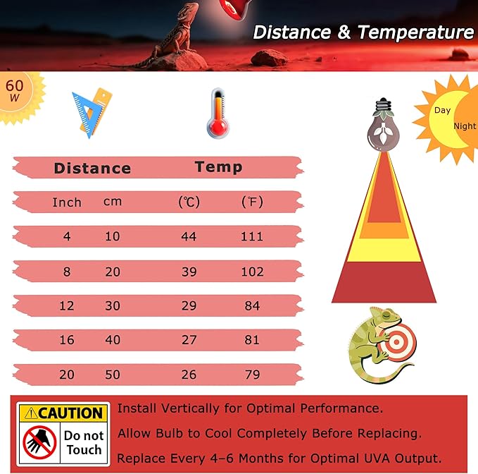 60W Compact Red Infrared Heat Lamp Bulb – Provides All-Day Heating to Support Metabolism, Digestion & Appetite, Basking Spot Light for Reptiles, Lizards, Terrarium & Brooder Heater, 2.5"