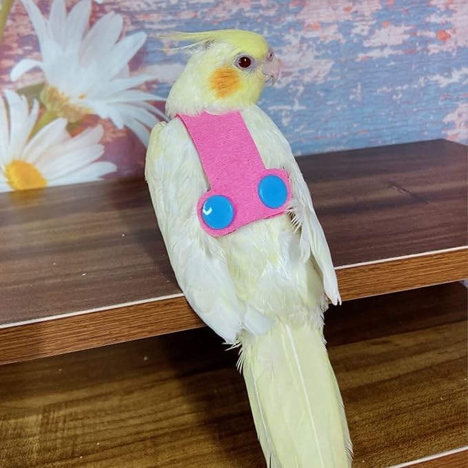 Bird Flight Harness Vest, Parrot Flight Suit with Leash for Parakeets Cockatiels Conures Budgies, Bird Flying Clothes with Rope and Handle for Outdoor Activities Training (S, Pink)