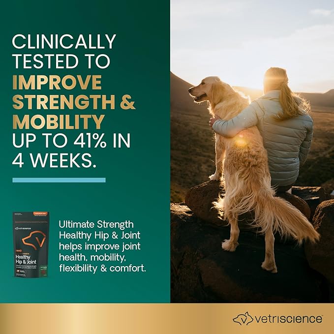 VetriScience Ultimate Strength Healthy Hip & Joint Chews, GlycoFlex Glucosamine, Chondroitin & Green Lipped Mussel Joint Support Supplement for Dogs, Soothe Joint Discomfort, Peanut Butter, 120 Ct