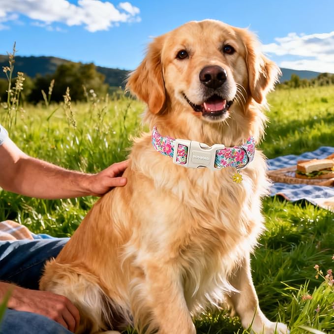 DOGWONG Spring Flower Dog Collar-Cute Floral Daisy Dog Collar, Adjustable Soft Girl Female Dog Collar for Small Medium Dogs, S