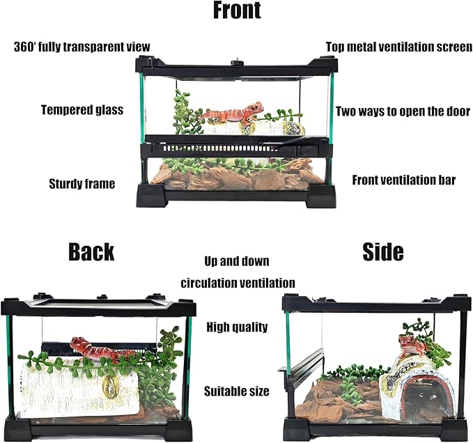 Woyrise Reptile Glass Terrarium Tank 8"x8"x5.7", Front & Top Opening Door Full View Visually Appealing Mini Reptiles or Amphibians Habitat, Stackable Enclousure for Small Reptiles