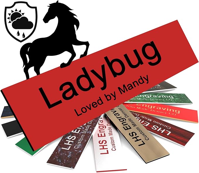 Horse Stall Name Plate, 2x8 Personalized Stall Signs, UV Protected, All Weather Adhesive, Hanging, Mounting or Other, Red Plastic Black Letters - Made in USA - B14