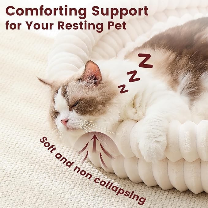 Fluffy Cat Beds for Indoor Cats, Washable Round Orthopedic Kitten Bed, Ultimate Soft Fuzzy Pet Bed for Small Dogs with Non-Slip Bottom, 19.7x19.7x6.3 in, White