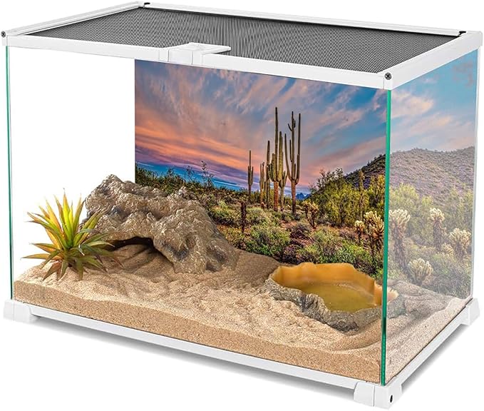AWERT 48x20 inches Terrarium Background Blue Sky Cloud Huge Cactus Oasis Gobi Reptile Habitat Background Vinyl