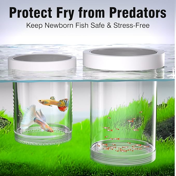 Floating Breeder Box for Fish Tank – Aquarium Isolation Separator Hatchery Incubator for Guppy, Betta, Clownfish, Coral, Baby & Injured Fish