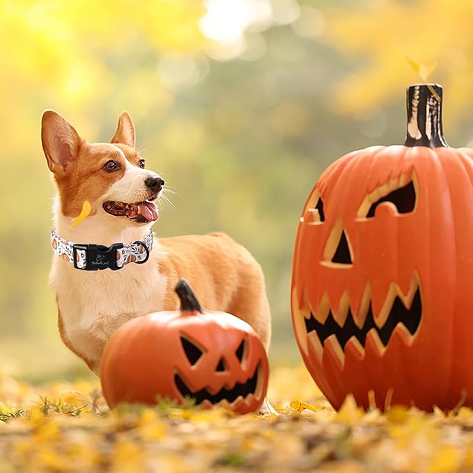 Fall Dog Collar, Cute Orange Pumpkin Pattern Puppy Collar, Soft Comfort Adjustable Holiday Thanksgiving Dog Collars for Small Medium Large Boy&Girl Dogs M