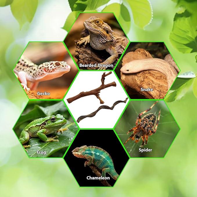 BNOSDM 2PCS Reptile Wood Branches, Snake Climbing Branch, Bearded Dragon Climbing Accessories, Lizard Habitat Decor, Terrarium Tree Trunk Ornament for Gecko Frog Chameleon Spider