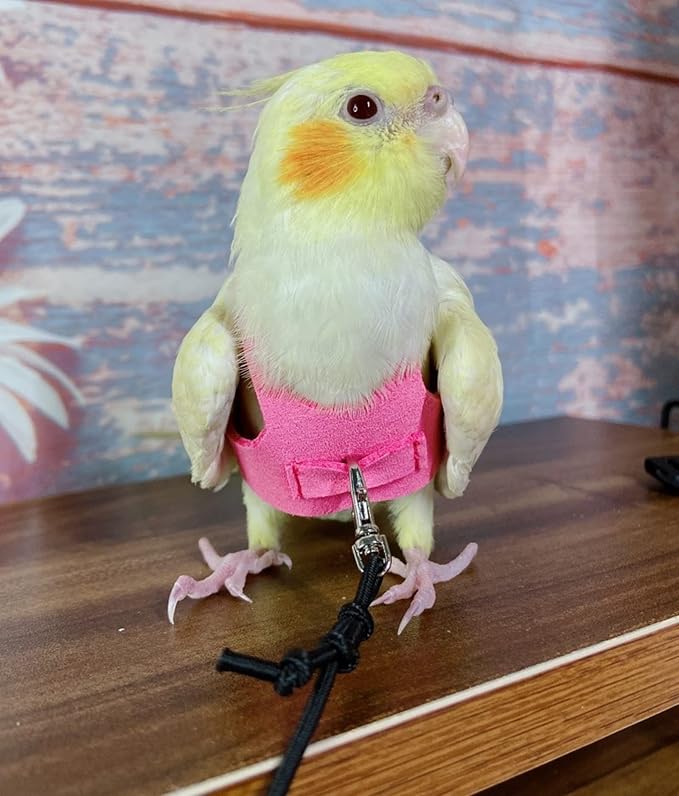 Bird Flight Harness Vest, Parrot Flight Suit with Leash for Parakeets Cockatiels Conures Budgies, Bird Flying Clothes with Rope and Handle for Outdoor Activities Training (L, Pink)