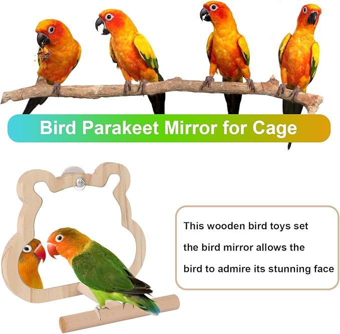 Bird Mirror with Perch & 8-Step Bird Ladder for Cage - Natural Wood Toys for Parakeets, Cockatiels (4.7x3.5x5.1in Mirror + 14.6x3.9in Ladder) Cage Accessories Bundled Set