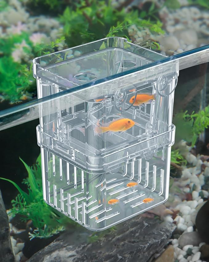 Pawfly Small Aquarium Fish Breeding Box for Fry Hatchery, Shrimp & Aggressive Fish Isolation