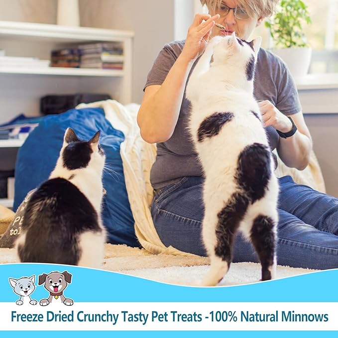 Freeze Dried Minnows, 100% Natural Premium Cat Dog Treat, Freeze Dried Minnows Pet Treats, for Dogs Cats (2.8 OZ)
