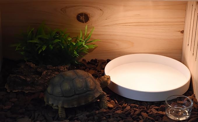 OMEM Reptile Food Bowl Water Dish,Feeding Dish, Birds Bowl (L, White)