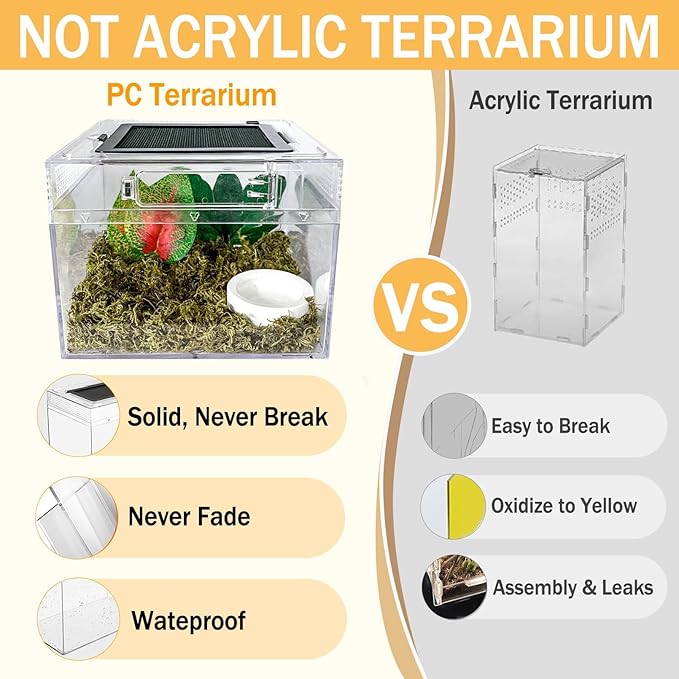 Reptile Terrarium, Jumping Spider Enclosure Starter Kit, Leopard Gecko Habitat Container, 8"x8"x6"Reptile Tank for Tarantula, Hermit Crab, Insect, Fish, Frog, Small Bearded Dragon, Lizard