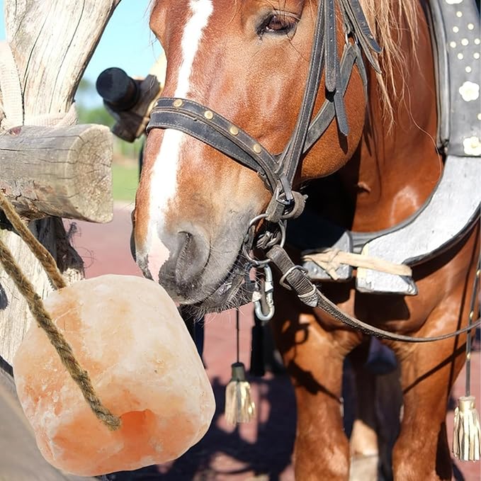 kathson Hanging Salt Lick for Horses Pack of 3,Himalayan Salt Blocks for Horse Natural Organic Mineral Salt Block Licking Salt Licks for Horses Cattle Deer Goats Cows and Other Livestock(10.55-12 LBS)