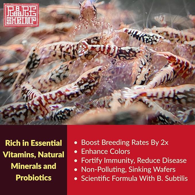 Professional Shrimp Food, All Natural Premium Ingredients, High Protein, Rich in Vitamins for Crystal Shrimp, Caridina, Neocaridina, Ornamental, Taiwan Breeder Foods Formula (50g)