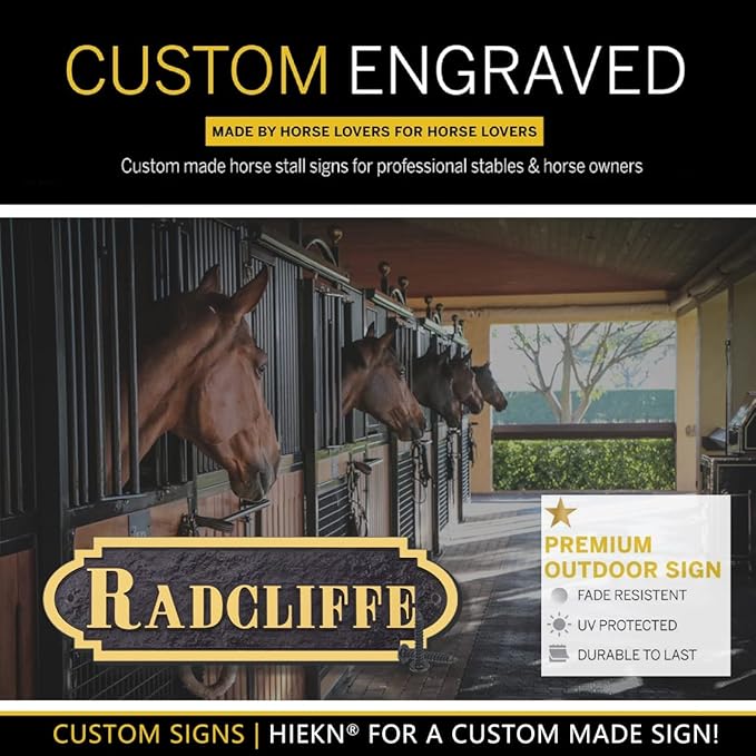 Acrylic Horse Stall Name Plate, 2.4" x 8" Personalized Stall Signs, UV Protected, Custom Pet Name Sign, All Weather Adhesive, Mounting (Gold, Style 6)