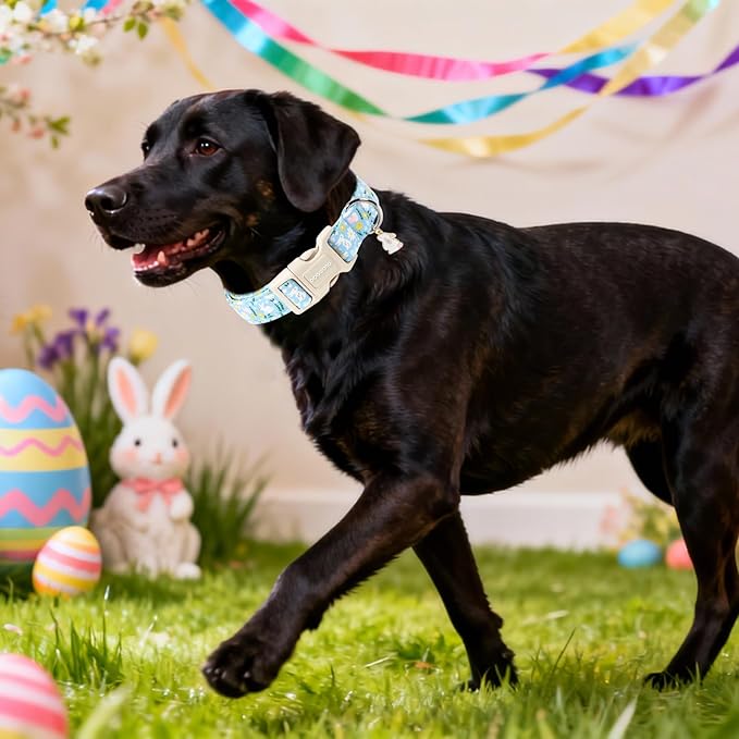 DOGWONG Easter Dog Collar-Cute Easter Rabbit Bunnies Egg Dog Collar, Adjustable Soft Easter Dog Collar for Small Medium Large Dogs, L