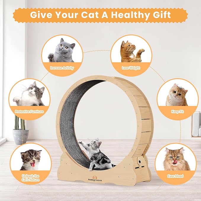 Homegroove Cat Wheel,52 inch XXL Large Cat Wheels for Indoor Cats with Carpeted Runway, Cat Exercise Wheel Treadmill for Kitty’s Longer Life (XXL, Natural Wood)
