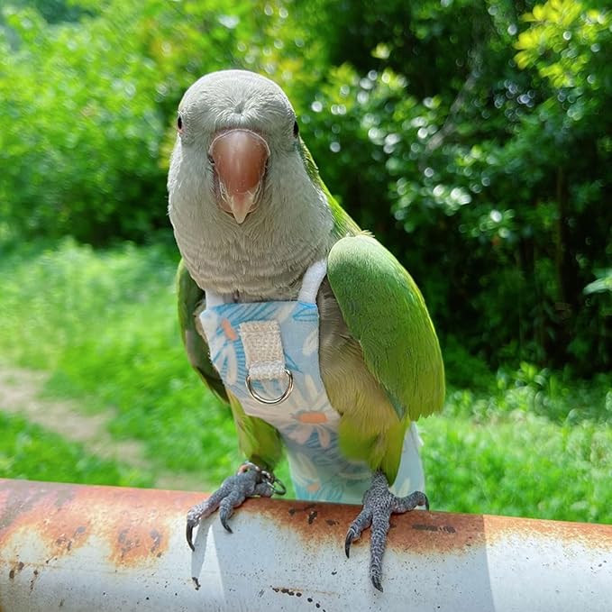 Snap-Closure Parrot Diapers with Adjustable Leash - Washable Bird Flight Suits for Cockatiels, Sun Conures & Quaker Parrots Secure & Chew-Resistant (L – Rainbow Honey Sucker/Golden Sun + 1m Rope)