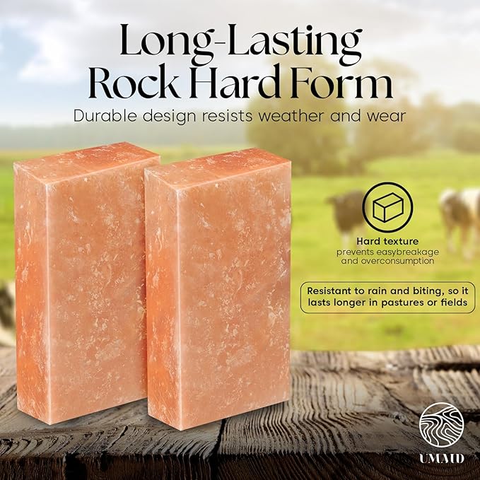 UMAID Himalayan Salt Block – 8x4x2 2-Pack – 100% Natural Mineral Salt Lick for Horses, Cows, Goats & Sheep – Animal Feed Supplement, Long-Lasting Salt Chunks