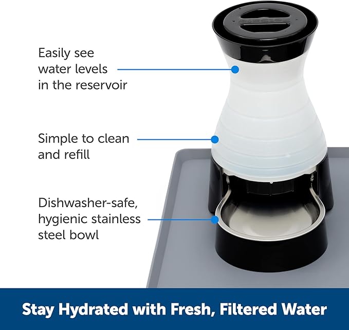 PetSafe Healthy Pet Water Station-Small,64 oz Capacity-Gravity Pet Water Fountain,Automatic Cat-Water Fountain,Dog-Water-Fountain,Water-Dispenser-Removable Stainless Steel Bowl Included,(Pack of 2)