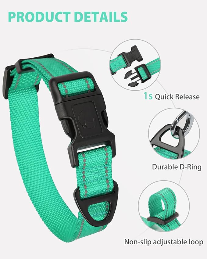 Joytale Small Dog Collar, Reflective and Adjustable Nylon Collar with Quick-Release Buckle, Lightweight No-Choke Design for Small Dogs, Teal, 3/4" Width