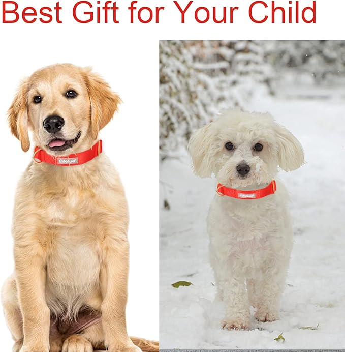 Nylon Dog Collar - Adjustable Red Soft Webbing Dog Collars for Small Medium Large Dogs Boy Girl Puppy Collar with Safety Metal Buckle XS
