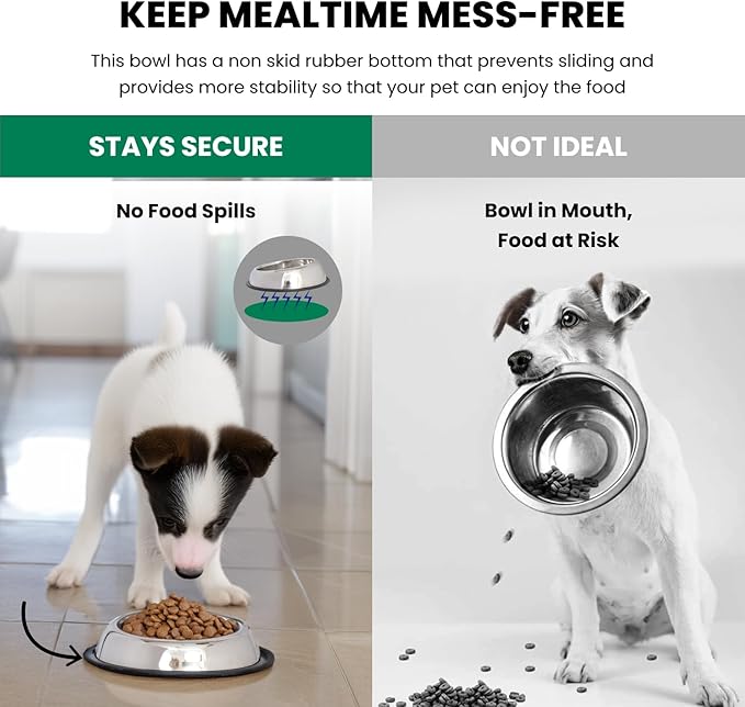 ICONIC PET 2 Cup/16 Oz Heavy Weight Non-Skid Stainless Steel High Back Pet Food/Water Bowls with Removable Anti Skid Rubber Ring - Dog/Cat Feeding Bowl in Unique Design, Dishwasher Safe