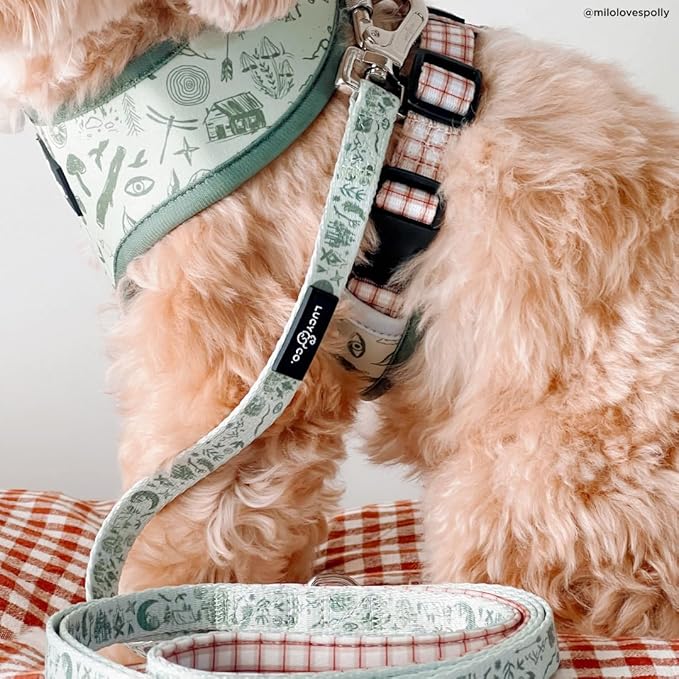 Lucy & Co. Cute Reversible Dog Harness Walking Halter - Best Designer Pet Harnesses for XS - XL Dogs - Padded Adjustable Vest for Easy Walking-Small-Green Outdoor Plaid