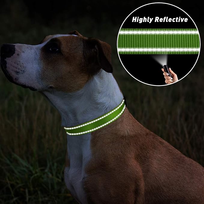 TagME Reflective Nylon Dog Collars, Adjustable Classic Collar with Quick Release Buckle for Extra Large Dogs, Green, 1¼" Width