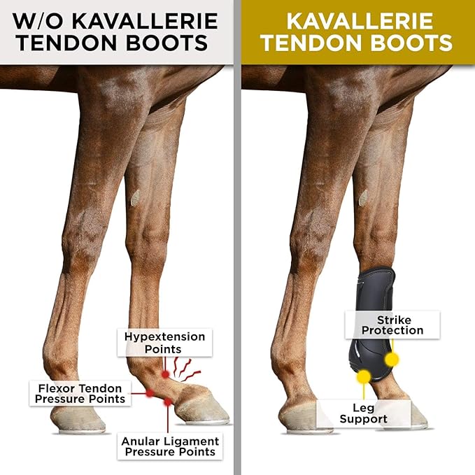 Kavallerie Classic Tendon Boots, Impact-Absorbing Material, Breathable & Evenly Distribute Pressure, Protect Tendon and Ligaments, Anti-Slip, Anti- Sore and Moisture Repellant Show Jumping Boots