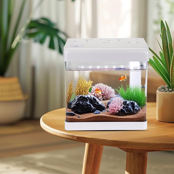 Small Fish Tank,5 Gallon Glass Aquarium Betta Fish Tank Starter Kit with Filter and LED Light.（White）