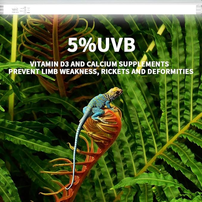 LUCKY HERP 24inch 18W T8 UVB 5.0 Reptile Light, UVA UVB Bulb, Fluorescent Lamp for Reptiles Amphibian
