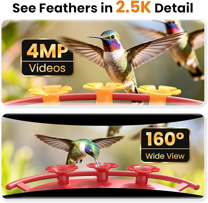 Smart Hummingbird Feeder Camera with AI Identification, 2.5K HD & Color Night Vision, Solar Powered Outdoor, IP66 Weatherproof – Garden Decor & Gift for Bird Lovers