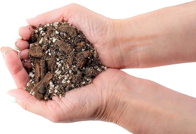 Gardenera Fiddle Leaf Fig House Plant Soil Premium All Purpose Blend - Peat Moss, New Zealand Bark, Coco Chips and Fibers, Perlite - 4 Quart Bag